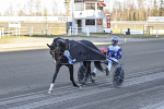 Bild från travets värld