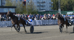 Bild från travets värld