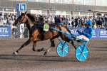 Bild från travets värld