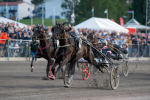 Bild från travets värld