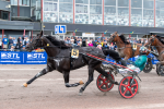 Bild från travets värld
