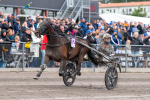 Bild från travets värld