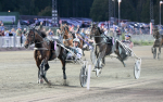 Bild från travets värld
