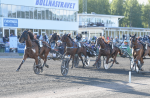 Bild från travets värld