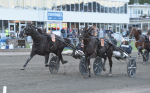Bild från travets värld