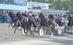 Bild från travets värld