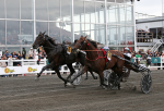 Bild från travets värld