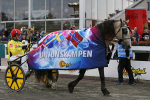 Bild från travets värld