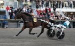 Bild från travets värld
