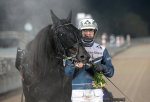 Bild från travets värld