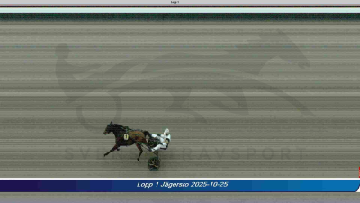 Bild från travets värld