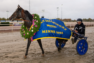 Bild från travets värld