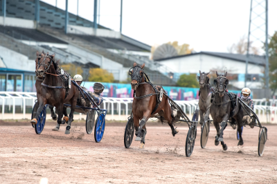Bild från travets värld