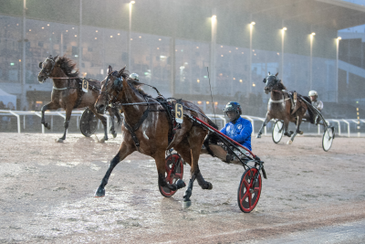 Bild från travets värld