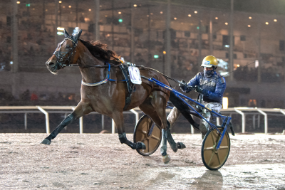 Bild från travets värld