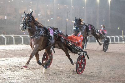 Bild från travets värld