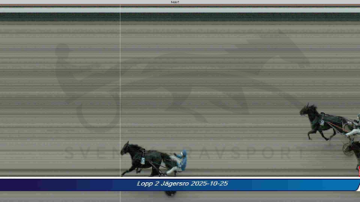 Bild från travets värld