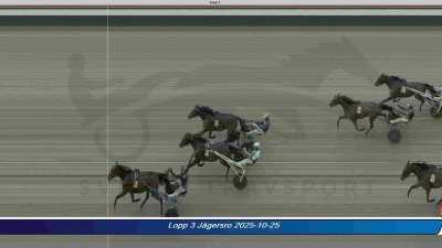 Bild från travets värld