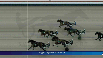 Bild från travets värld