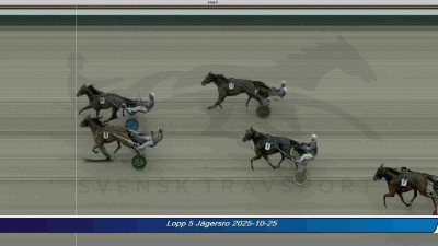 Bild från travets värld