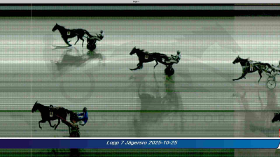 Bild från travets värld