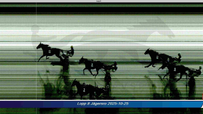 Bild från travets värld