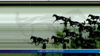 Bild från travets värld