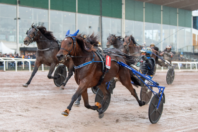 Bild från travets värld