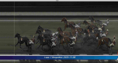 Bild från travets värld