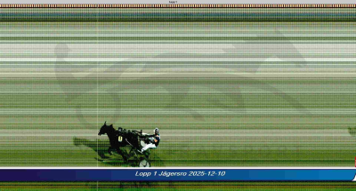 Bild från travets värld