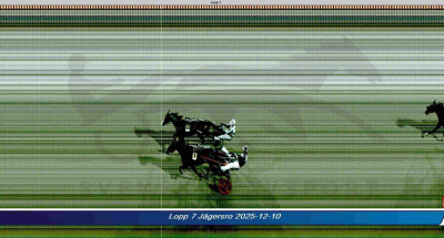 Bild från travets värld