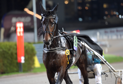 Bild från travets värld