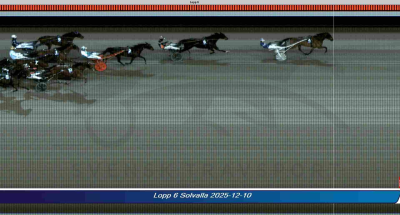 Bild från travets värld