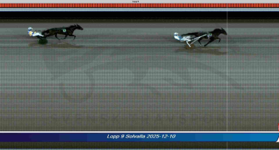 Bild från travets värld