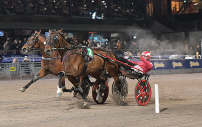 Bild från travets värld