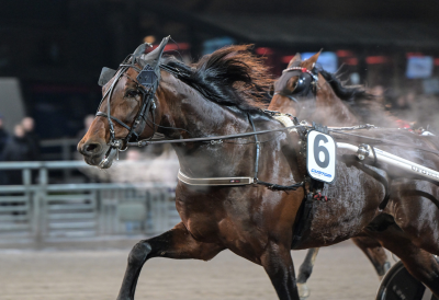 Bild från travets värld