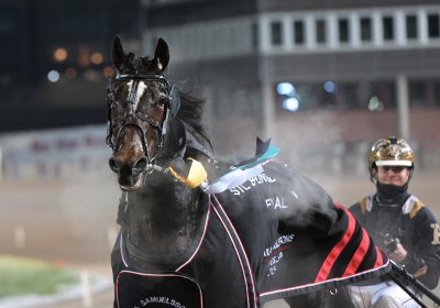 Bild från travets värld