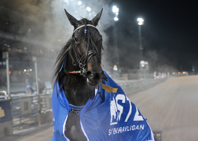 Bild från travets värld