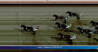 Bild från travets värld