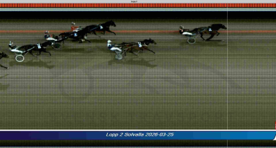 Bild från travets värld