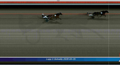 Bild från travets värld