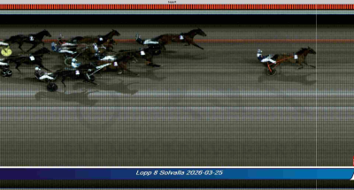 Bild från travets värld