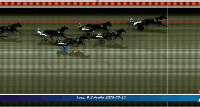 Bild från travets värld