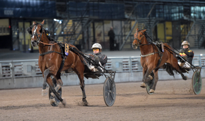 Bild från travets värld