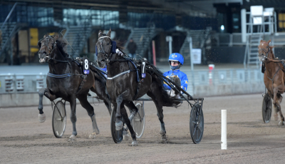 Bild från travets värld