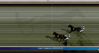 Bild från travets värld