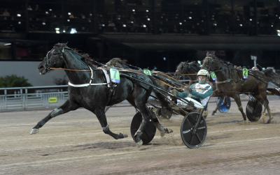 Bild från travets värld