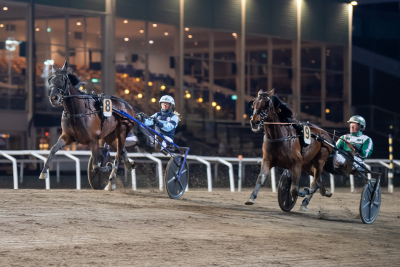 Bild från travets värld