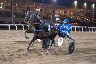 Bild från travets värld