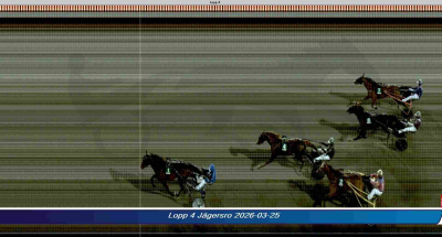 Bild från travets värld